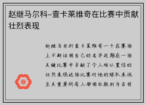 赵继马尔科-查卡莱维奇在比赛中贡献壮烈表现